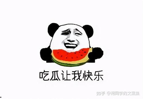 北京朝阳吃瓜 我真笨,揭秘“我真笨”背后的故事